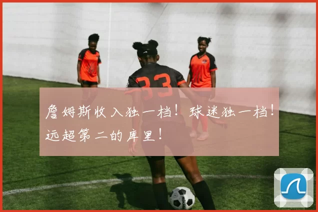 詹姆斯收入独一档！球迷独一档！远超第二的库里！