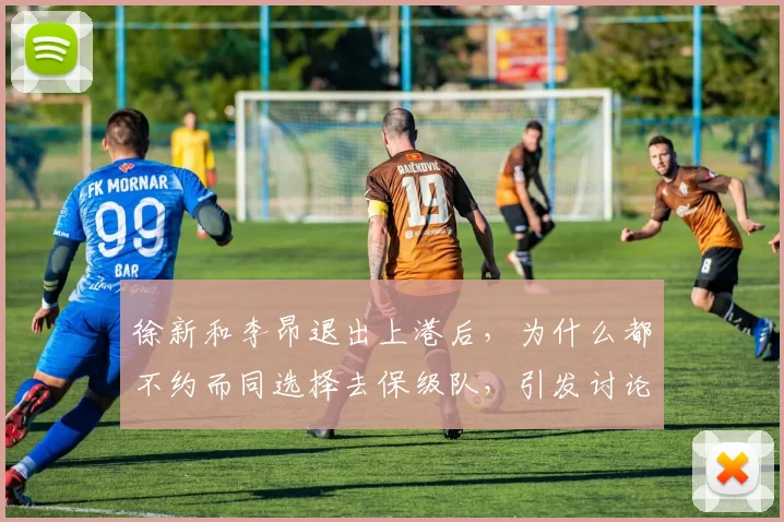 徐新和李昂退出上港后，为什么都不约而同选择去保级队，引发讨论_球员_玉昆_赛季