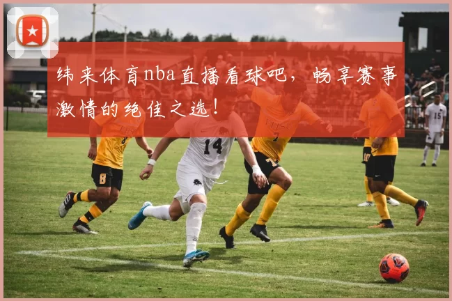 纬来体育nba直播看球吧，畅享赛事激情的绝佳之选！