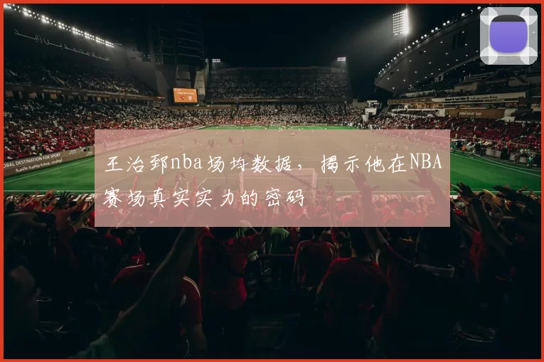 王治郅nba场均数据，揭示他在NBA赛场真实实力的密码