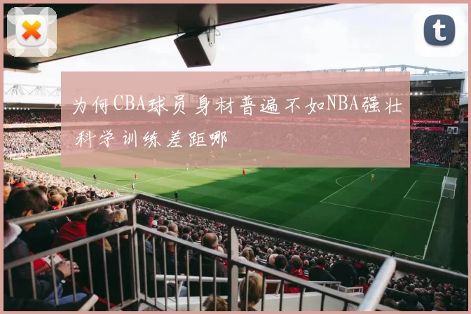 为何CBA球员身材普遍不如NBA强壮 科学训练差距哪