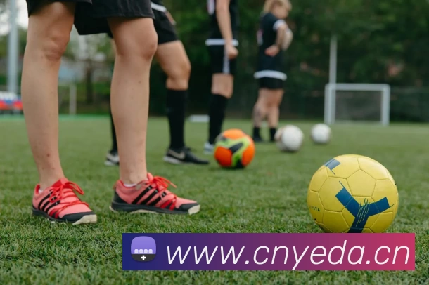 开云网页版·官方版在线 - 开云(中国)平台生态图