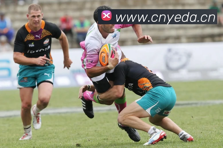 开云网页版·官方版在线 - 开云(中国)APP 封面图